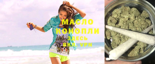 индика Козельск