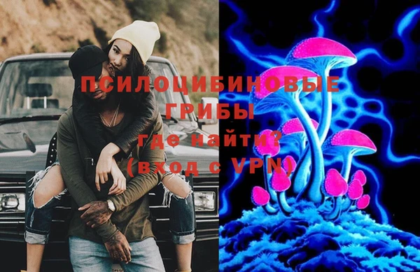 индика Козельск