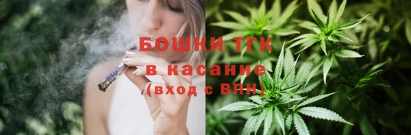 индика Киренск