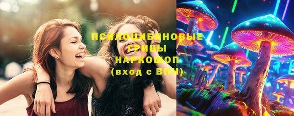 индика Киренск