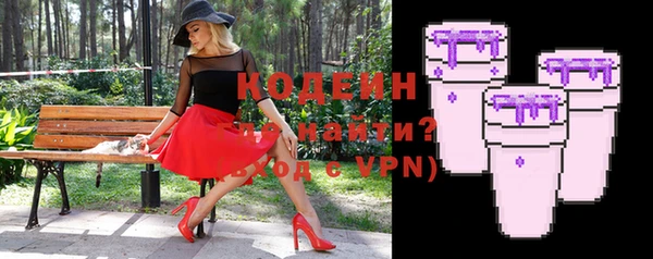 индика Козельск