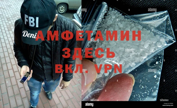 индика Козельск