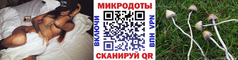 Псилоцибиновые грибы мицелий  Краснознаменск 