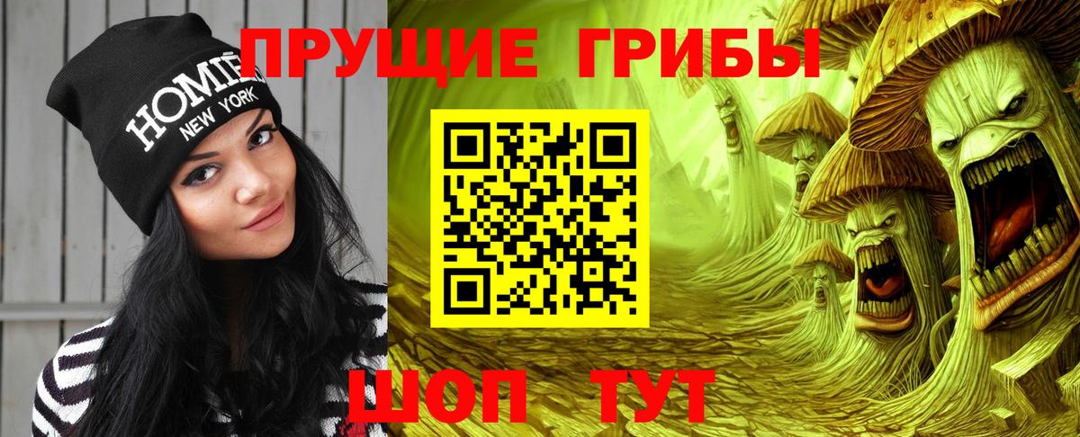 Галлюциногенные грибы Magic Shrooms  Вход с VPN  Краснознаменск 