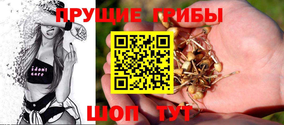 Псилоцибиновые грибы ЛСД Краснознаменск